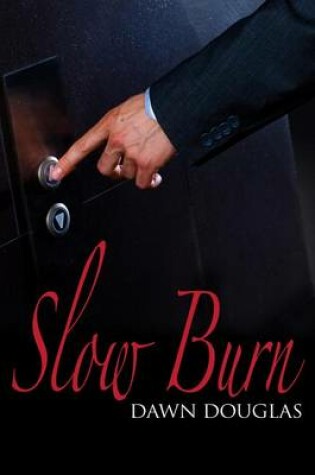 Cover of Slow Burn