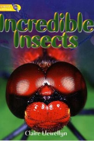 Cover of Literacy World Satellites Non Fict Stg 1 Guided Reading Cards Incredible Insects Fwk 6pk