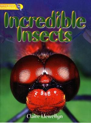 Book cover for Literacy World Satellites Non Fict Stg 1 Guided Reading Cards Incredible Insects Fwk 6pk