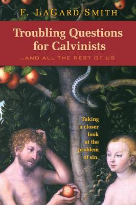 Book cover for Troubling Questions for Calvinists