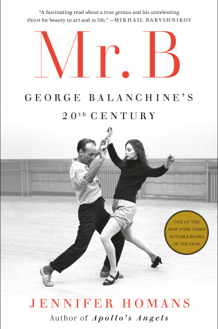 Cover of Mr. B