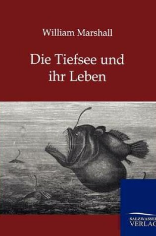 Cover of Die Tiefsee und ihr Leben