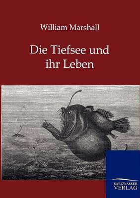 Book cover for Die Tiefsee und ihr Leben