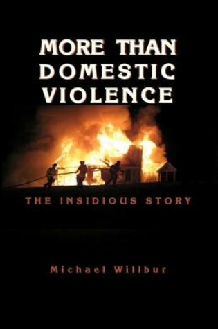 Cover of More than Domestic Violence