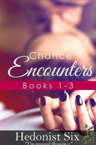 Cover of Chance Encounters 1 3