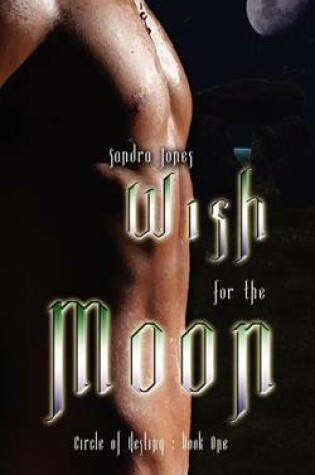 Cover of Wish for the Moon