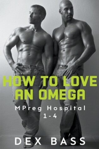 Cover of How To Love An Omega