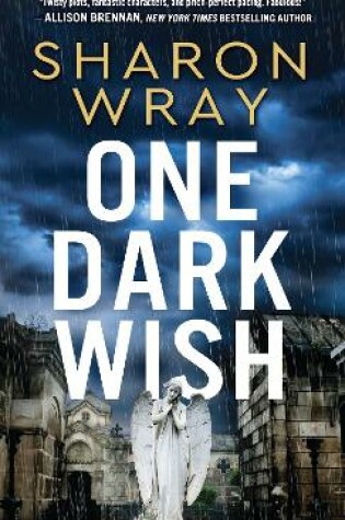 Cover of One Dark Wish