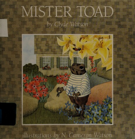 Book cover for Mister Toad