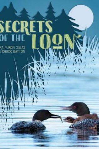 Cover of Secrets of the Loon