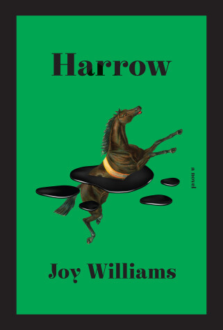 Book cover for Harrow