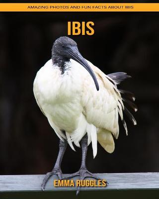 Book cover for Ibis