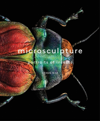 Book cover for Microsculpture