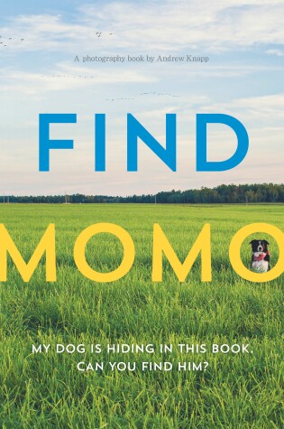 Cover of Find Momo