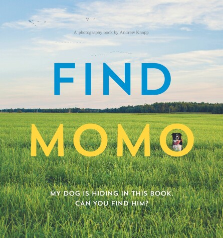 Book cover for Find Momo