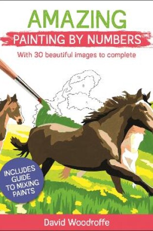 Cover of Amazing Painting by Numbers