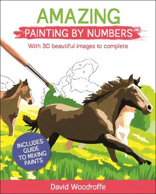 Cover of Amazing Painting by Numbers