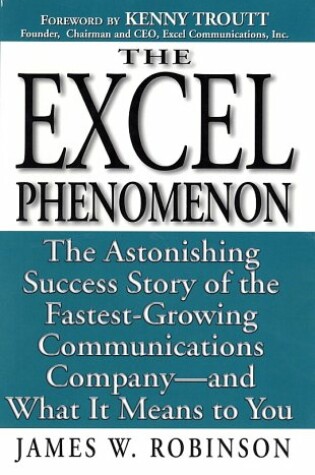 Cover of The Excel Phenomenon