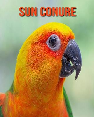 Book cover for Sun Conure