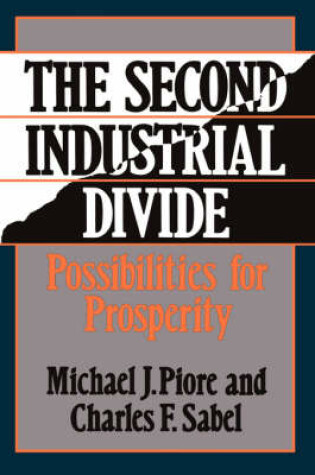 Cover of The Second Industrial Divide