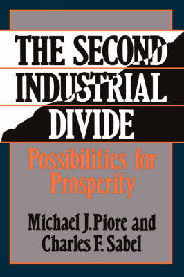 Book cover for The Second Industrial Divide