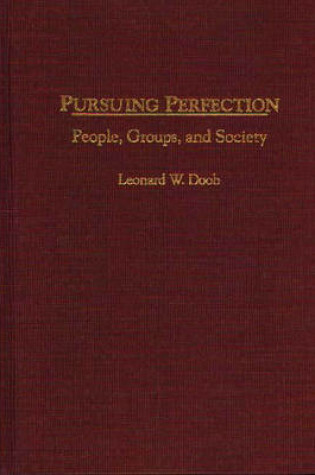 Cover of Pursuing Perfection