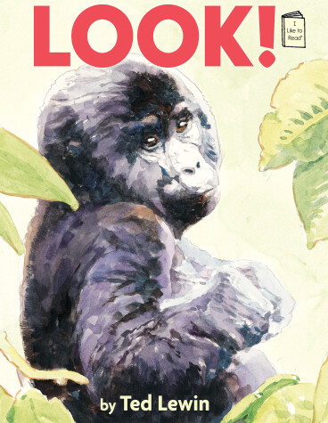 Book cover for Look!