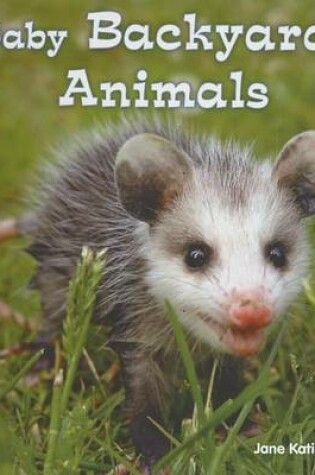 Cover of Baby Backyard Animals