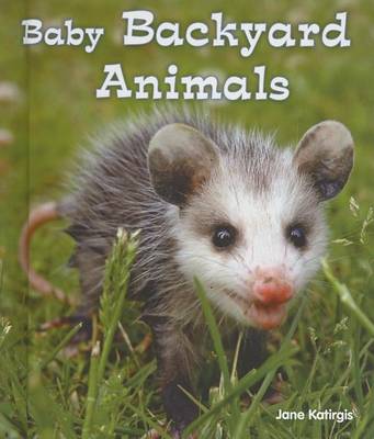 Book cover for Baby Backyard Animals