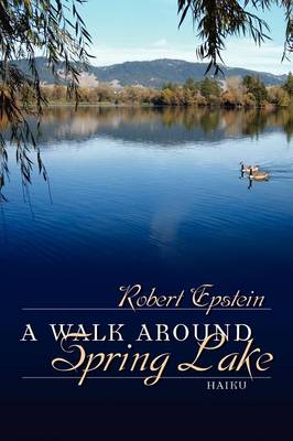 Book cover for A Walk Around Spring Lake