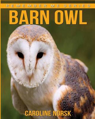 Book cover for Barn Owl