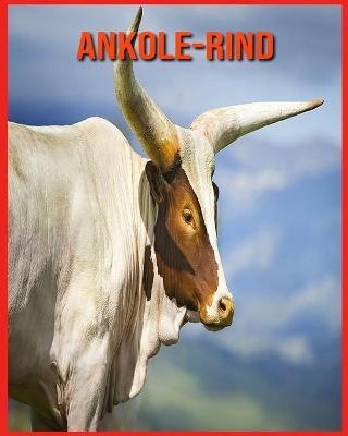 Book cover for Ankole-Rind