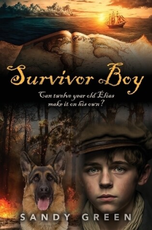 Cover of Survivor Boy