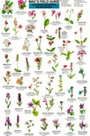 Cover of Mac's Field Guides: Rocky Mountain Wildflowers