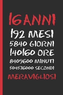 Book cover for 16 Anni Meravigliosi