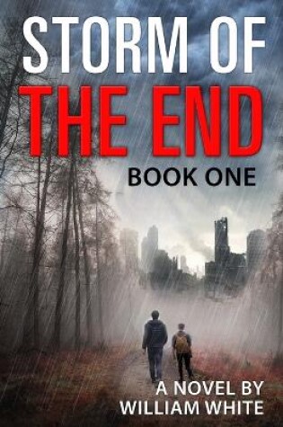 Cover of Storm of the End