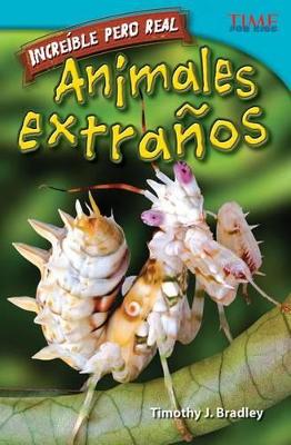 Book cover for Incre ble pero real: Animales extra os (Strange but True: Bizarre Animals) (Spanish Version)