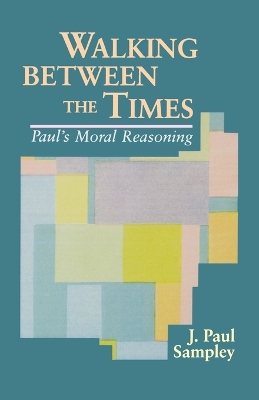 Book cover for Walking Between the Times