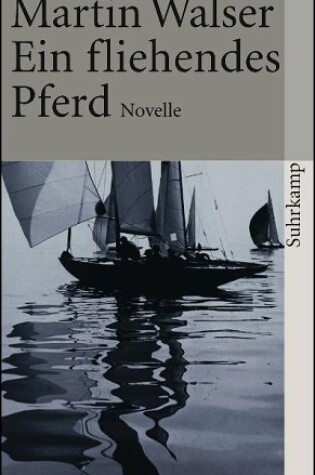 Cover of Ein fliehendes Pferd