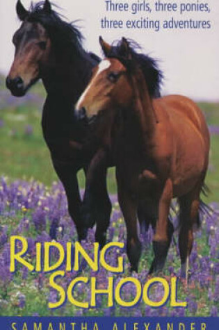 Cover of Riding School Bindup