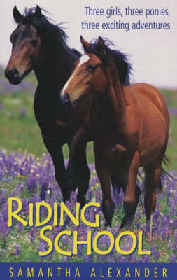 Book cover for Riding School Bindup
