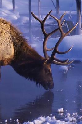 Cover of Winter Elk Notebook