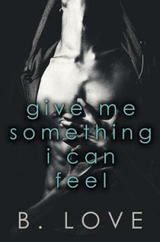 Cover of Give Me Something I Can Feel