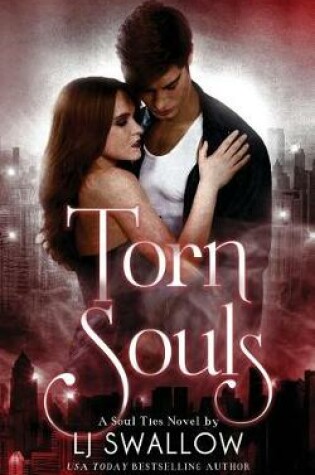 Cover of Torn Souls