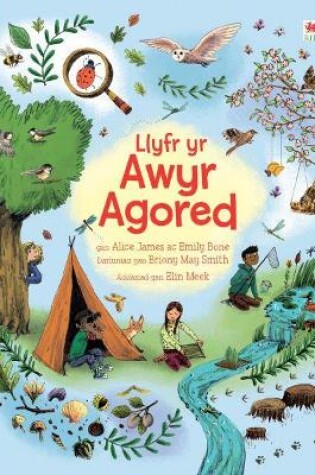 Cover of Llyfr yr Awyr Agored