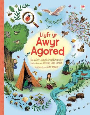 Book cover for Llyfr yr Awyr Agored