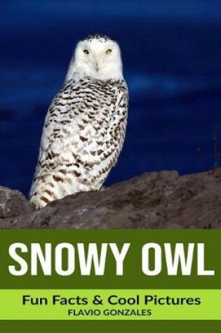 Cover of Snowy Owl