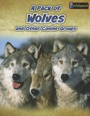 Book cover for A Pack of Wolves: and Other Canine Groups (Animals in Groups)