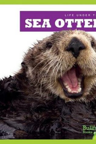 Cover of Sea Otters