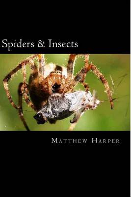 Book cover for Spiders & Insects